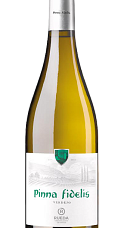 Produto: Pinna Fidelis Verdejo 2025