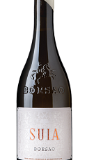 Produto: Borsao Suia 2024