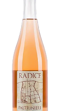 Produto: Paltrinieri Lambrusco di Sorbara Radice 2025