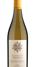 Produto: Belguardo Codice V 2024