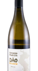 Produto: António Madeira Branco 2024