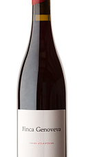 Produto: Finca Genoveva Caíño 2023