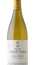 Produto: Terre Nere Etna Bianco Calderara Sottana 2024