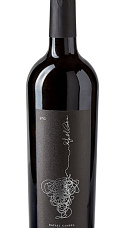 Produto: Rafael Cambra Uno 2024