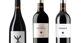 Dominio de Pingus