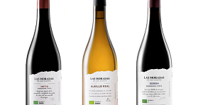 Las Moradas de San Martín