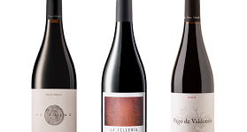 Vinos Valtuille