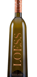 Loess Verdejo 2021